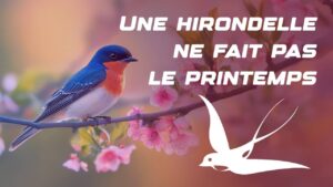 Une hirondelle ne fait pas le printemps