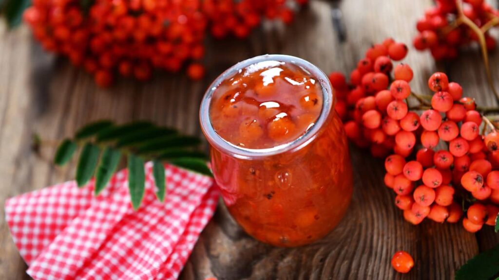 sorbier oiseleurs gelée confiture fruits