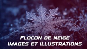 Flocon de neige : images et illustrations gratuites