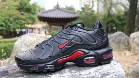 Nike TN Air Max Plus