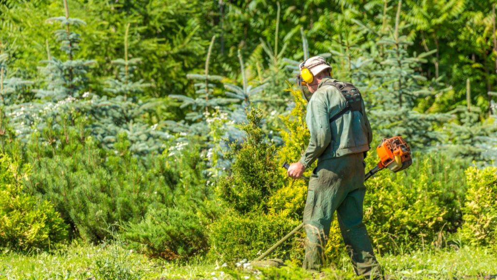 jardinier entretien espaces verts